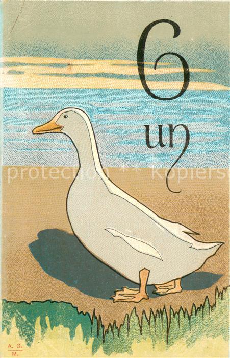 73793063 Gefluegel Litho Gans