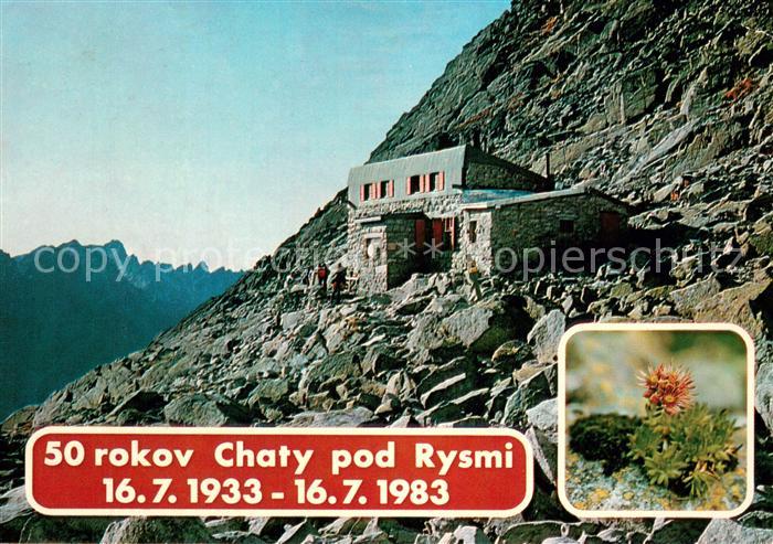 73735547 Vysoke Tatry Chata pd Rysmi Skalnica horska Skalna ruza