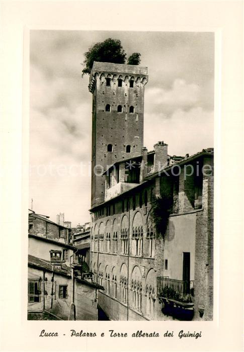 73741462 Lucca Toscana IT Palazzo e Torre alberata dei Guinigi