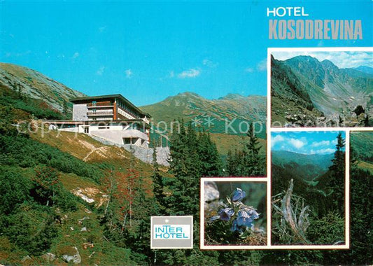 73737456 Nizke Tatry Slovakia Inter Hotel Kosodrevina