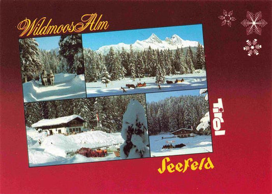 73978332 Seefeld Tirol Winterpanorama Wildmoos-Alm