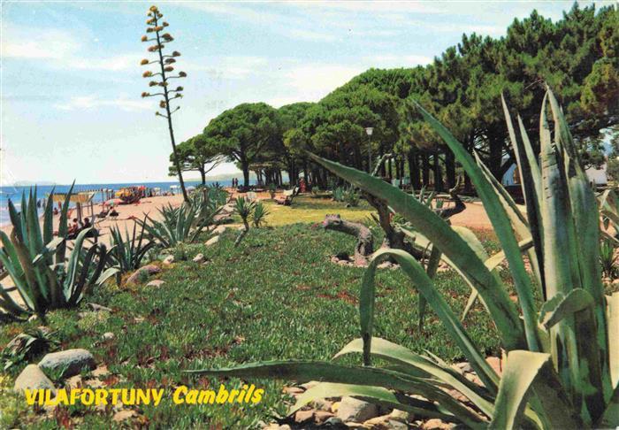 73981979 Cambrils Costa Dorada ES Playa de Vilafortuny