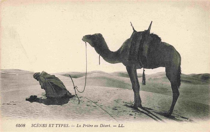 74011556 Kamele  Camel Chameau-- Sahara La Priere au Desert Gebet