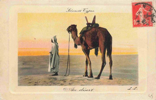 74011638 Kamele  Camel Chameau-- Sahara Au desert