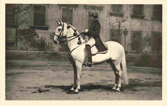 74011757 PFERDE Horses Cheval Spanische Reitenschule  Wien