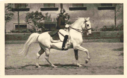 74011759 PFERDE Horses Cheval Spanische Reitenschule Wien Galopp