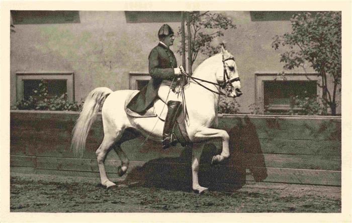 74011760 PFERDE Horses Cheval Spanische Reitenschule Wien Piaffe Spanischer Trit