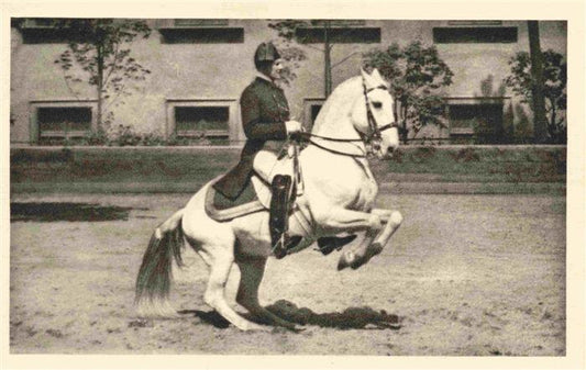 74011761 PFERDE Horses Cheval Spanische Reitenschule Wien Levade