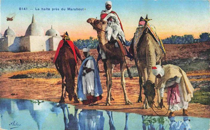 74011782 Kamele  Camel Chameau-- la halte pres Marabout Marokko Afrika