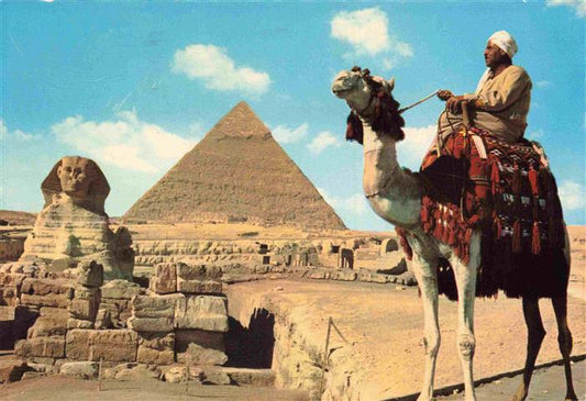 74012529 Kamele  Camel Chameau-- Tourist Guide Sphnix Giza Egypt Ahram Pyramiden