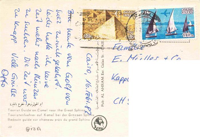 74012529 Kamele  Camel Chameau-- Tourist Guide Sphnix Giza Egypt Ahram Pyramiden