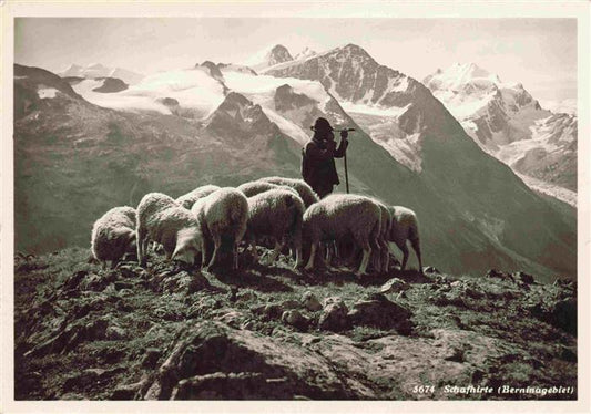 74012533 Schaeferei Sheperding Bergerie-- Schafhirte Berninagebiet Bern Schweiz