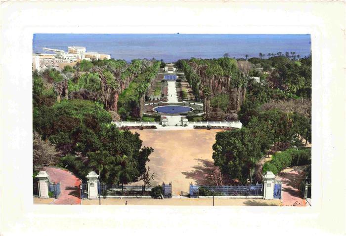 73986076 ALGER Algérie Vue d'ensemble du Jardin d'Essai