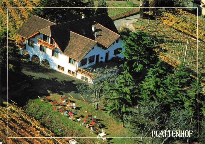 73985801 Soell Tramin Weinstrasse Suedtirol IT Gasthof Plattenhof