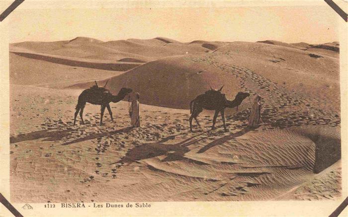 73991347 Biskra Algerie Les Dunes de Sable