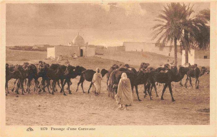 74025620 Kamele  Camel Chameau-- Passage Caravane Afrika