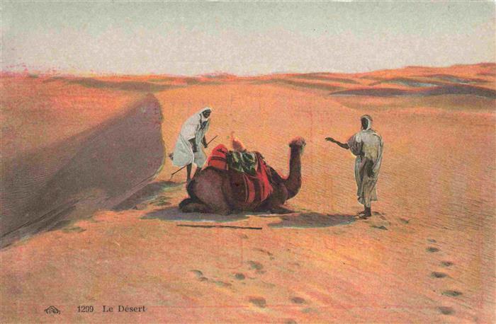 74025912 Kamele  Camel Chameau-- Le Desert