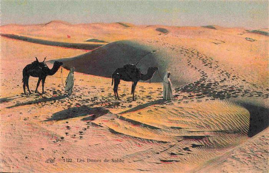 74025913 Kamele  Camel Chameau-- Les Dunes Sable