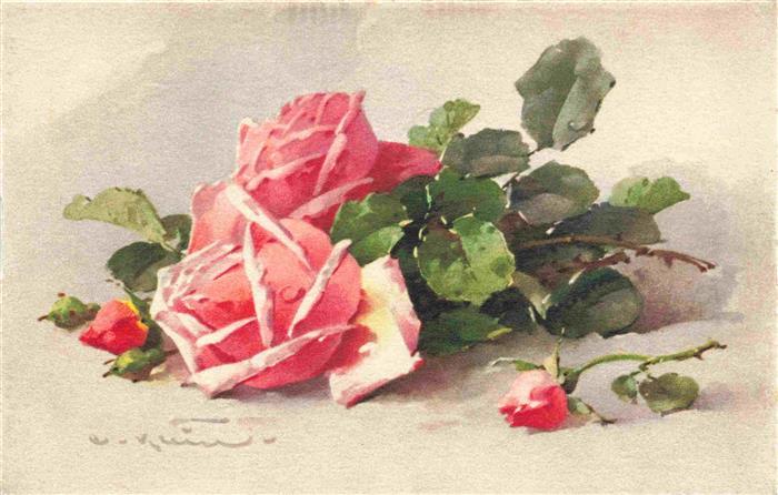 74025992 Klein Catharina Kuenstlerlitho Rosen Rosa