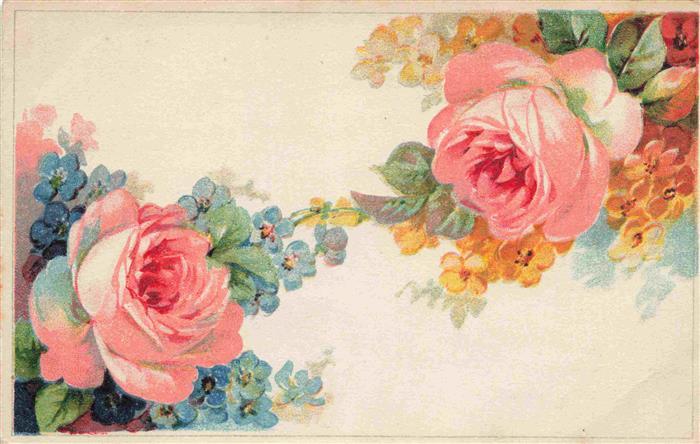 74025995 Rosen Roses Rosas-- Rosa Litho