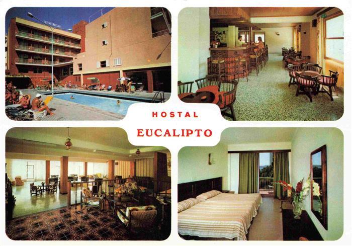 73962721 Paguera Peguera Calvia Mallorca ES Hostal Eucalipto Restaurant Fremdenz