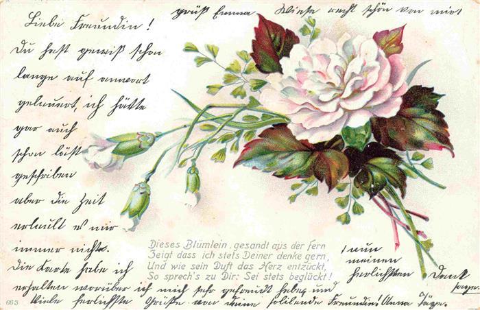 73965082 Blumen Flowers Fleurs Litho