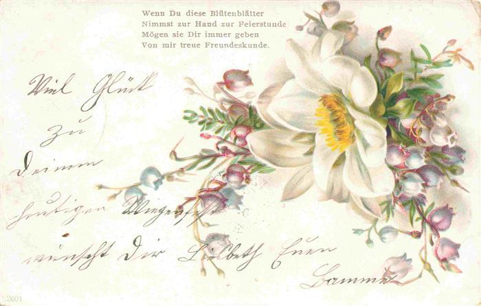 73965084 Blumen Flowers Fleurs Litho