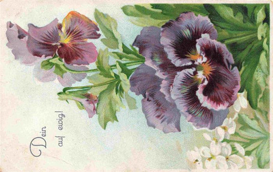 73965091 Veilchen Violette Violet Violetta-- Litho