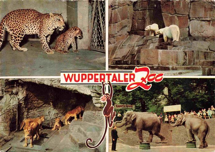 74007171 Zoo Gardin Zoologique-- Wuppertal Eisbaer Elefanten Tierer