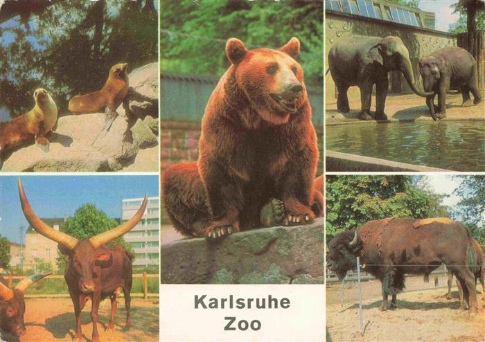 74007191 Zoo Gardin Zoologique-- Karlsruhe Sea lions Watusi cattle Brown bears E