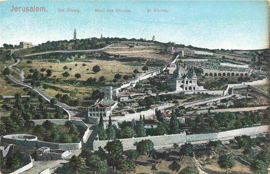 73965440 Jerusalem Yerushalayim Israel Panorama oelberg