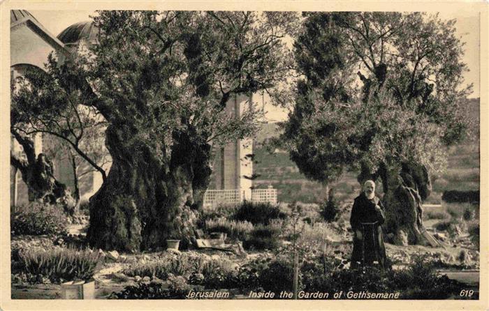 73965773 Jerusalem Yerushalayim Israel Inside the Garden of Gethsemane