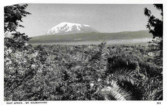 73966202 Kilimangaro Kilimanjaro Kilimanjaro Tanzania Panorama