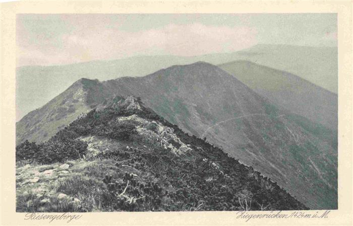 73966615 Riesengebirge Krkonose Karkonosze Panorama Ziegenruecken Kupfertiefdruc