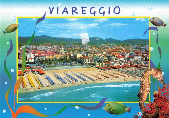 73967442 Viareggio Toscana IT aerial photography seahorse marine animals