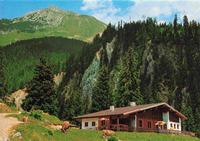 73969465 Elbigenalp Lechtal Tirol AT Jausenstation Gibler-Alm mit Rotwandspitze