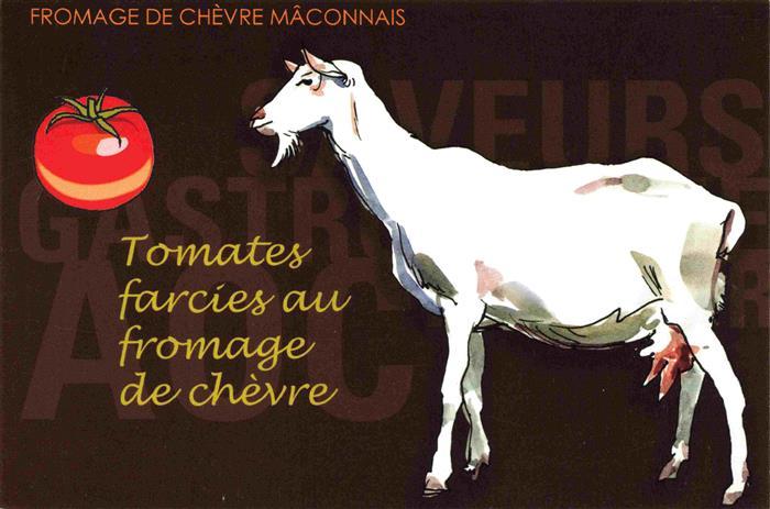 74026995 Ziege Goat Chevre-- Tomate Fromage Maconnais