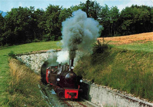 74027295 Eisenbahn Railway Chemin de Fer Blonay Chamby Tunnel Zell Todnau