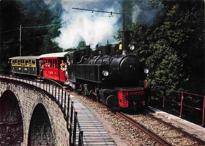 74027296 Eisenbahn Railway Chemin de Fer Blonay Chamby Tunnel Schweiz