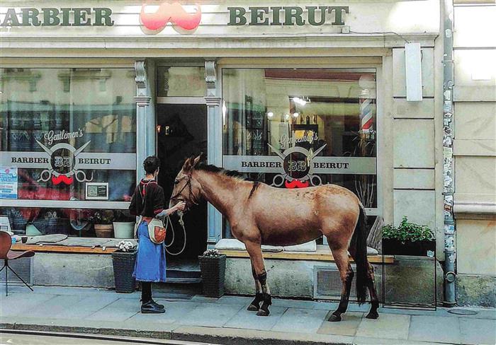 74032250 Friseur Barbier Coiffeur Barber-- Pferd Junge Welt Dresden