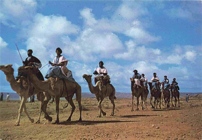 74028217 Kamele  Camel Chameau-- Maroc Marokko Grenzreiter Wueste