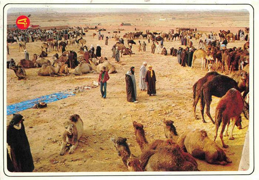 74028222 Kamele  Camel Chameau-- Maroc Marokko Souk