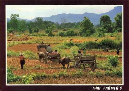 74028696 Landwirtschaft Thai Farmer's