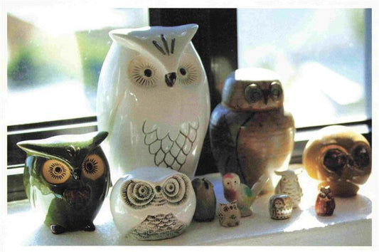 74030074 Eule Owl Hibou Chouette-- Offspring