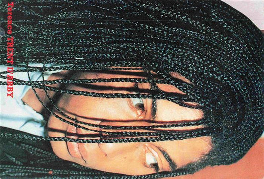 74030162 Saenger Band Sananda Maitreya Terence Trent D arby