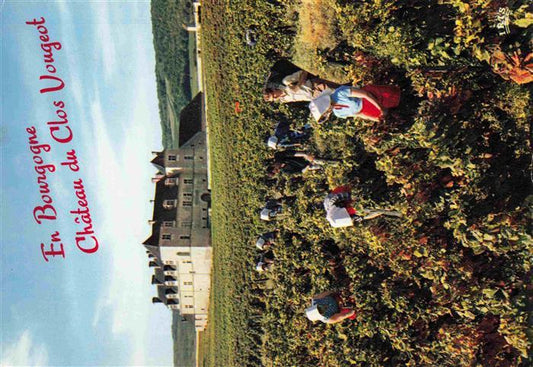 74030689 Wein Wine Vin Vino-- Bourgogne Chateau du Clos Vougeot