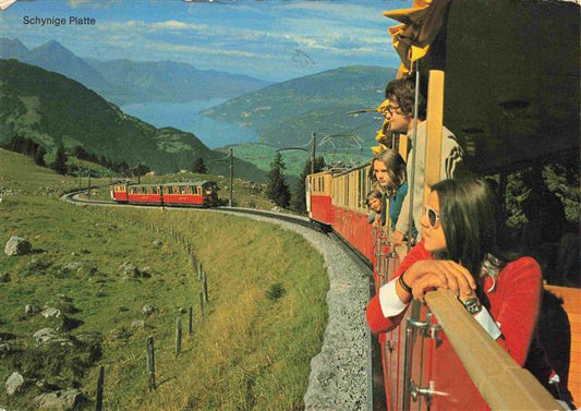 74030711 Eisenbahn Railway Chemin de Fer Ferrovia-- Schynige Platte Thunersee