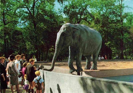 74030725 Zoo Gardin Zoologique-- Ruhr Gelsenkirchen  Elafant