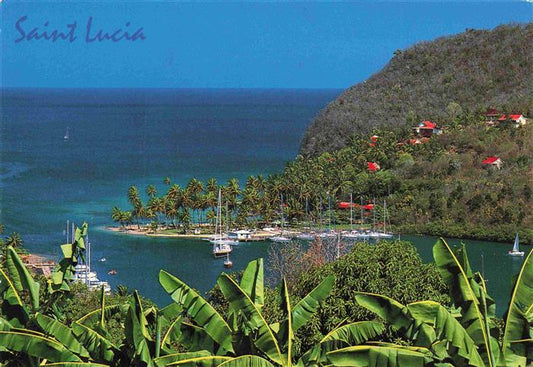 73970696 Saint Lucia West Indies Caribbean Marigot bay resort and the moorings Dol