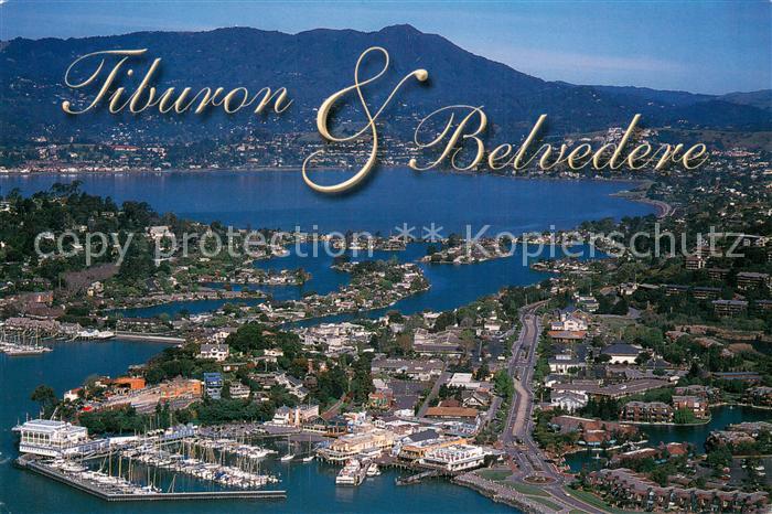 73744611 Tiburon California and Belvedere Island with Mount Tamalpias aerial vie